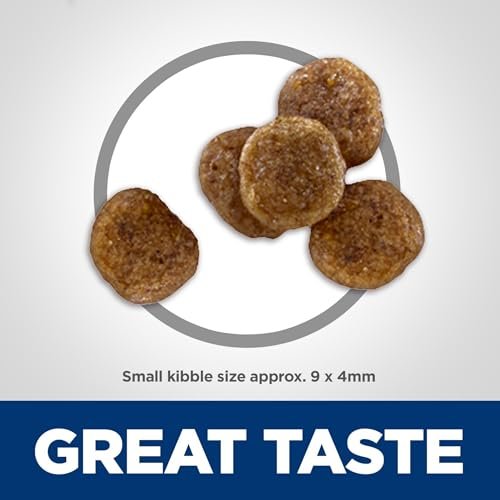 Hill's Science Diet Senior 7+ Small Kibble Dry Dog Food, Chicken & Rice - Image 3