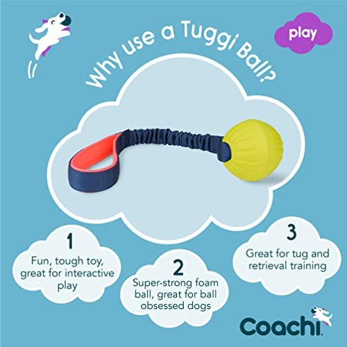 Coachi Tuggi Ball: Interactive Tug Toy with Bungee Handle for Dogs & Puppies - Image 2