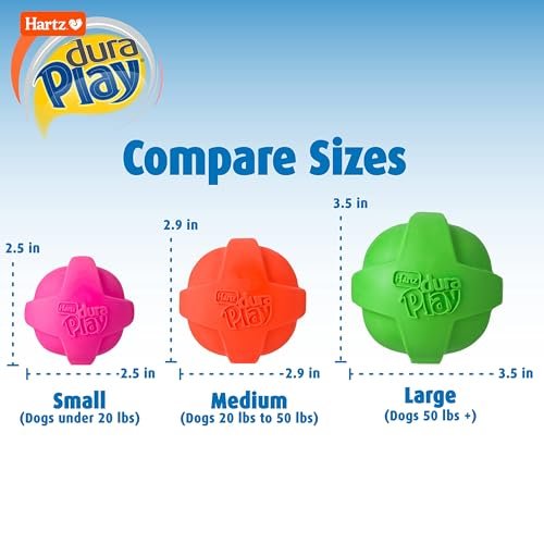 Hartz DuraPlay Squeaky Latex Dog Balls, Medium, Durable 3-Pack Toy - Image 3