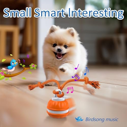 Interactive Motion Activated Dog Ball – Automatic Rolling Toy for Dogs - Image 5
