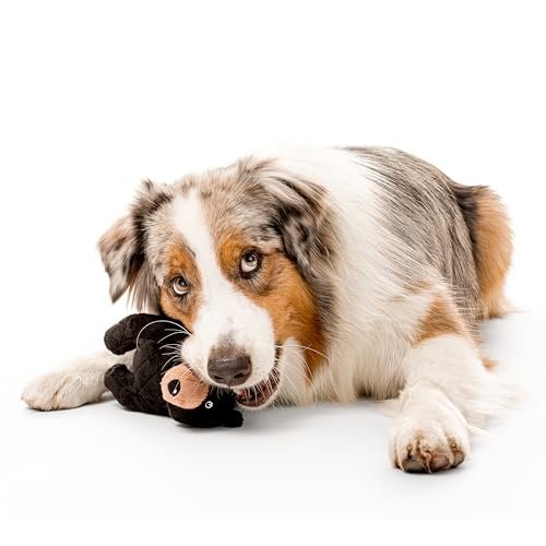 Jumbo Brandy Bear Dog Toy - Eco-Friendly, Durable & Plush Chew Toy - Image 3