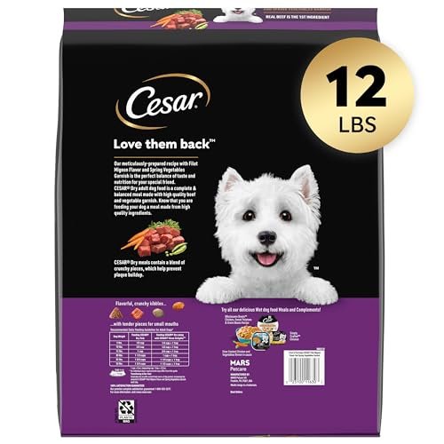 CESAR Small Breed Dry Dog Food Filet Mignon & Veggies, 12 lb Bag - Image 2