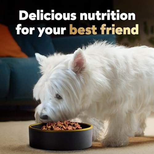 CESAR Small Breed Dry Dog Food Filet Mignon & Veggies, 12 lb Bag - Image 9