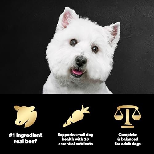 CESAR Small Breed Dry Dog Food Filet Mignon & Veggies, 12 lb Bag - Image 6