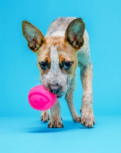 Hartz DuraPlay Squeaky Latex Dog Balls, Medium, Durable 3-Pack Toy - Image 4