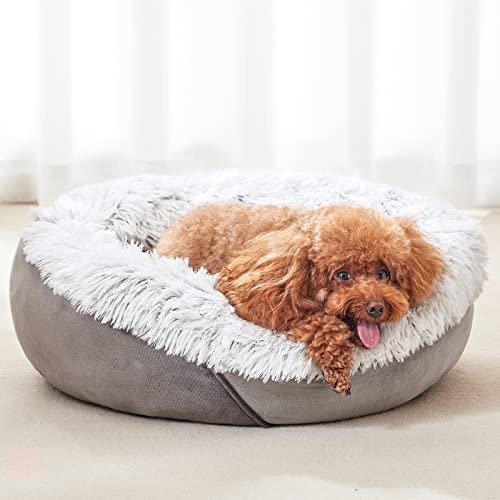 JOEJOY Calming Dog Bed for Small Dogs, Soft Plush Anti-Anxiety Pet Bed - Image 6