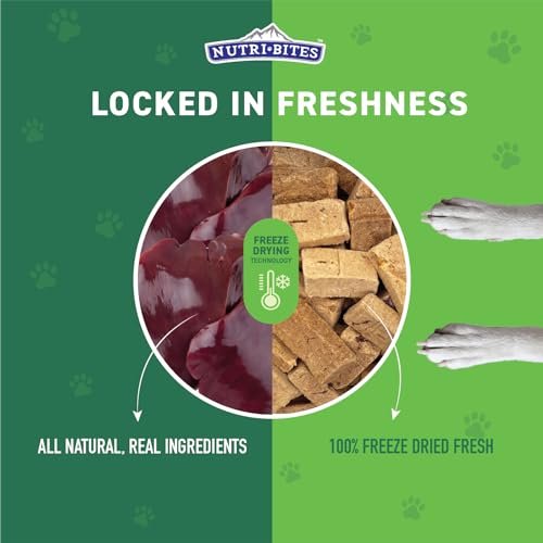 Nutri Bites Beef Liver Treats - Healthy, High-Protein Snacks for Pets 17.6oz - Image 3