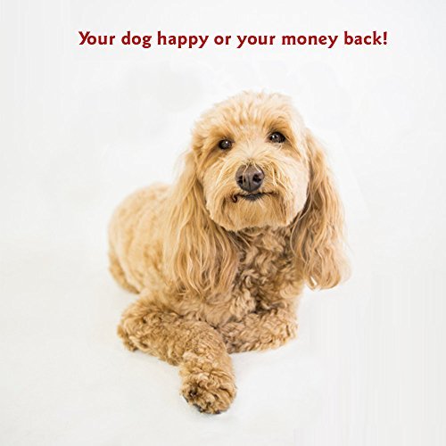 Majestic Pet Large Washable Dog Bed – Non-Slip, Comfy Crate & Kennel Mat - Image 7