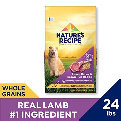 Nature's Recipe Lamb & Rice Dry Dog Food, 24 lb – Healthy & Natural - Image 2