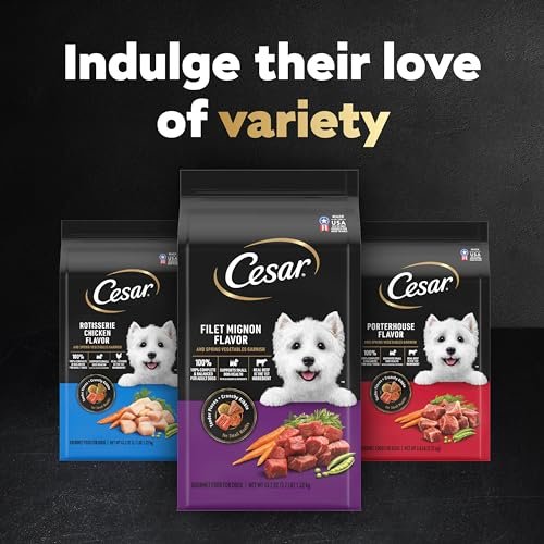 CESAR Small Breed Dry Dog Food Filet Mignon & Veggies, 12 lb Bag - Image 12