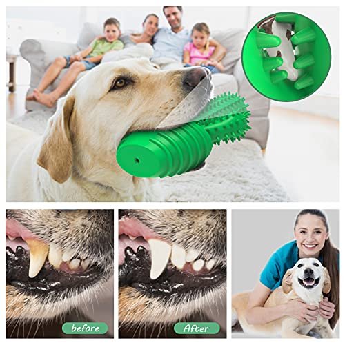 Durable Dog Chew Toy & Toothbrush for Aggressive Chewers, Squeaky Fun - Image 3