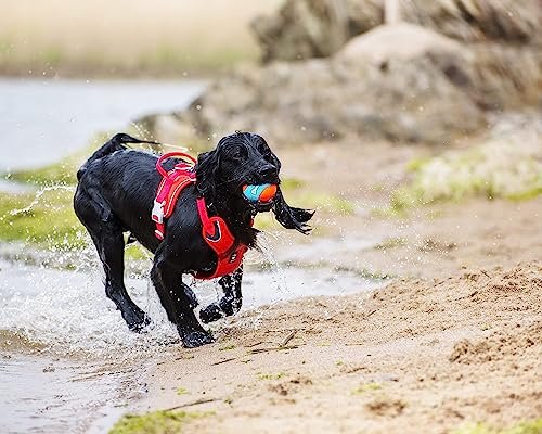 ChuckIt! Amphibious Fetch Balls – Floating, Durable Dog Toys, 3-Pack - Image 6