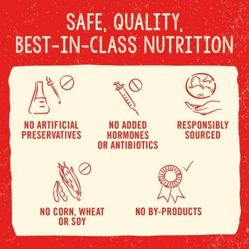Stella & Chewy's Freeze-Dried Raw Chicken Meal Mixer Dog Topper 3.5oz - Image 7
