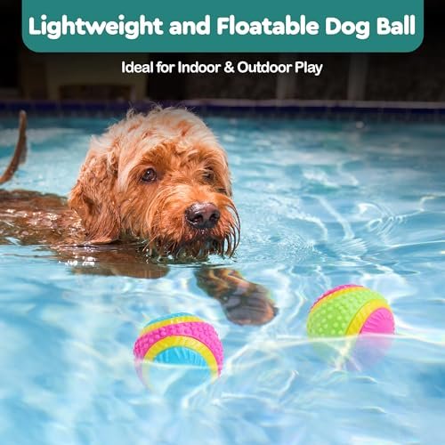SPOT Sensory Dog Ball for Soft Chewers - Squeaky, Textured, Beef-Scented - Image 6