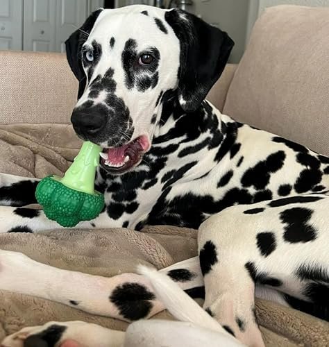 Nylabone Broccoli Chew Toy for Large Dogs, Bacon & Cheese Flavor - Image 10