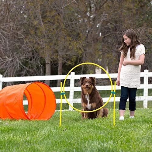Interactive Dog Agility Training Set - Outdoor Exercise & Skills Development Kit - Image 11