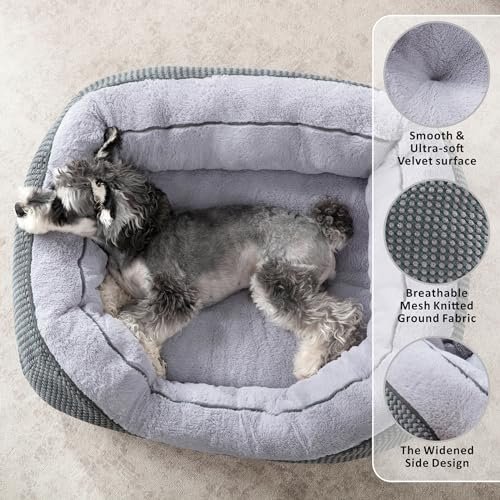 INVENHO Orthopedic Medium Dog Bed - Soft, Washable & Anti-Slip Design - Image 2