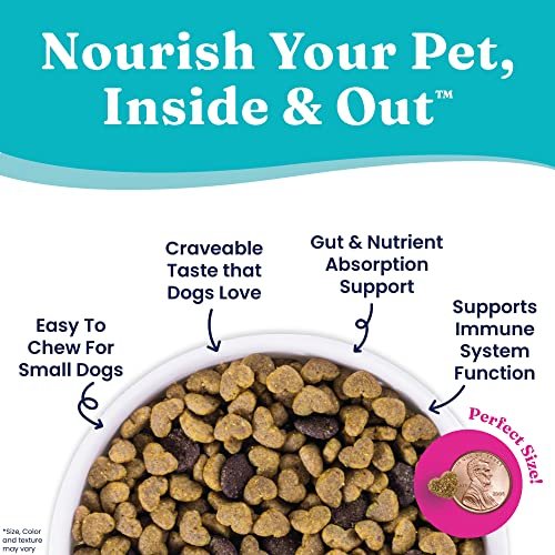 Solid Gold Mighty Mini Small Breed Dog Food - Chicken, Grain-Free, 3.75 LB - Image 4