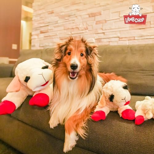 Multipet Jumbo Lamb Chop 24" Plush Dog Toy – Soft & Durable宠物玩具 - Image 9