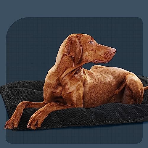 MABOZOO Chew-Proof Dog Bed - Durable, Washable Crate Pad (M, Black) - Image 9