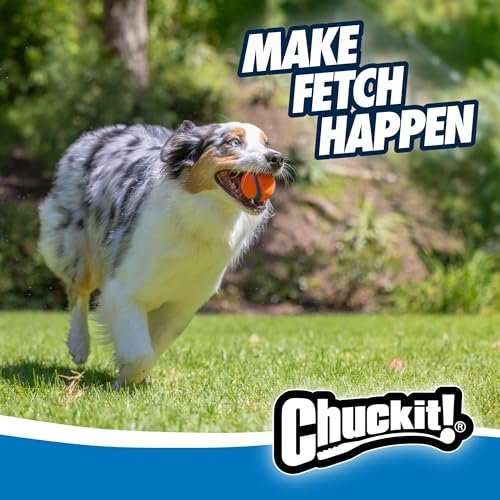 Chuckit Ultra Ball Dog Toy - Durable, Bouncy Fetch Balls for Medium Dogs - Image 9