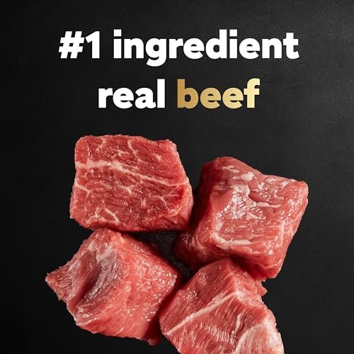 CESAR Small Breed Dry Dog Food Filet Mignon & Veggies, 12 lb Bag - Image 3