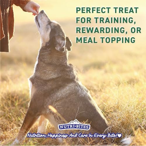 Nutri Bites Beef Liver Treats - Healthy, High-Protein Snacks for Pets 17.6oz - Image 4