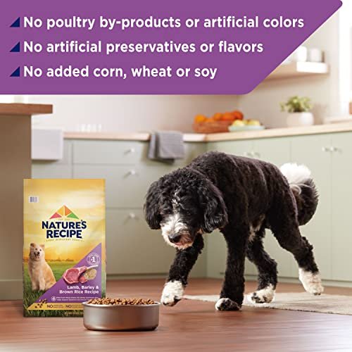 Nature's Recipe Lamb & Rice Dry Dog Food, 24 lb – Healthy & Natural - Image 5