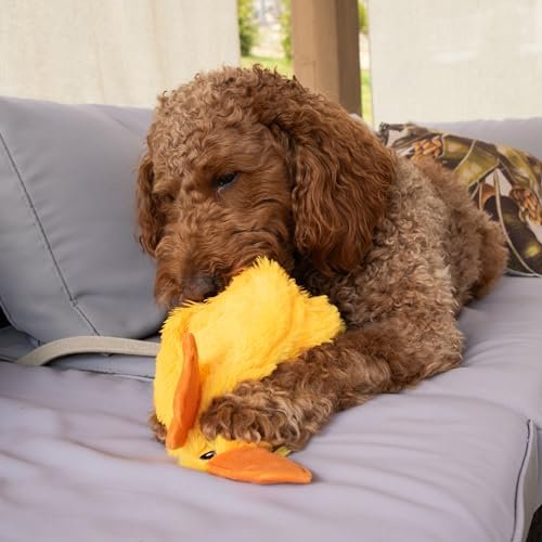 Stuffing-Free 21" Plush Duck Dog Toy – Silent, Fun & Durable for Pets - Image 8