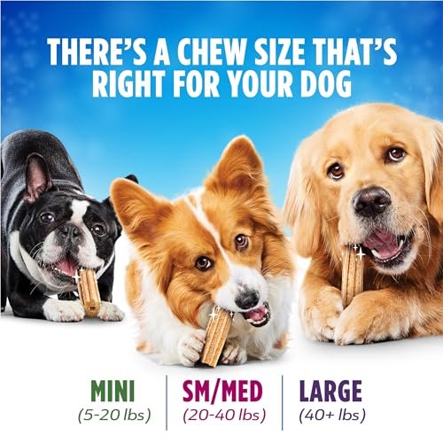 Purina DentaLife Dental Chews for Small/Medium Dogs, Chicken, 40ct - Image 8