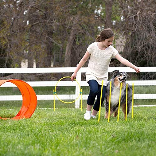 Interactive Dog Agility Training Set - Outdoor Exercise & Skills Development Kit - Image 10