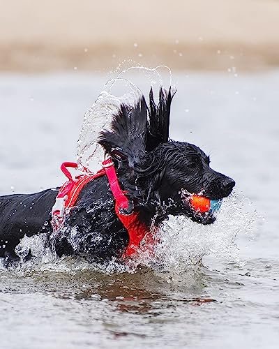 ChuckIt! Amphibious Fetch Balls – Floating, Durable Dog Toys, 3-Pack - Image 4