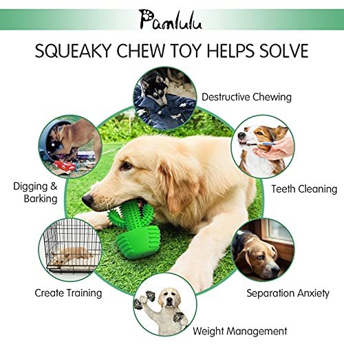 Durable Dog Chew Toy & Toothbrush for Aggressive Chewers, Squeaky Fun - Image 7