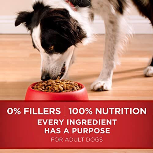 Purina ONE Lamb & Rice Dry Dog Food, High-Protein, 16.5 lb Bag - Image 7