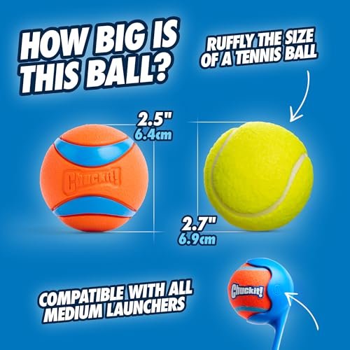 Chuckit Ultra Ball Dog Toy - Durable, Bouncy Fetch Balls for Medium Dogs - Image 5