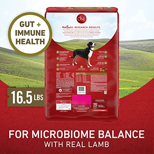 Purina ONE Lamb & Rice Dry Dog Food, High-Protein, 16.5 lb Bag - Image 6