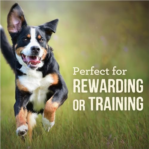 Merrick Power Bites Soft & Chewy Grain-Free Dog Treats, Real Beef, 6 oz - Image 4