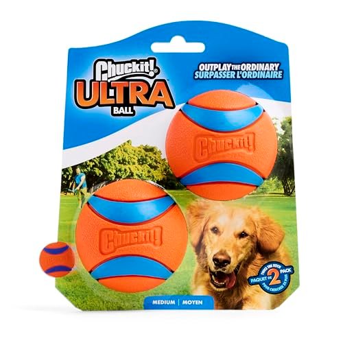 Chuckit Ultra Ball Dog Toy - Durable, Bouncy Fetch Balls for Medium Dogs - Image 4