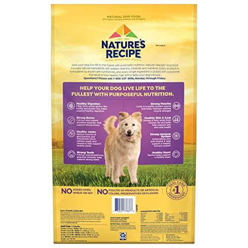 Nature's Recipe Lamb & Rice Dry Dog Food, 24 lb – Healthy & Natural - Image 4