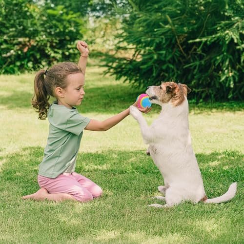 SPOT Sensory Dog Ball for Soft Chewers - Squeaky, Textured, Beef-Scented - Image 4
