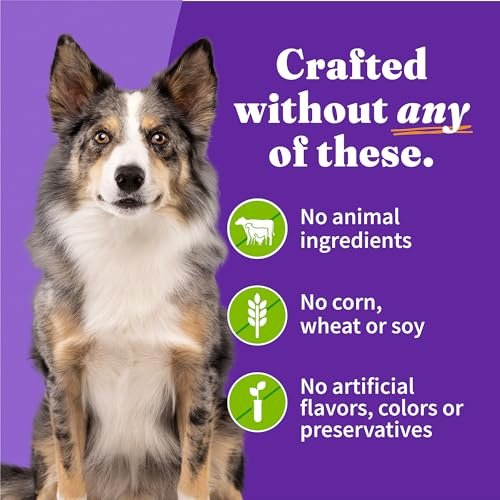Halo Garden of Vegan Wet Dog Food, Plant-Based, 13oz Can (12 Pack) - Image 6