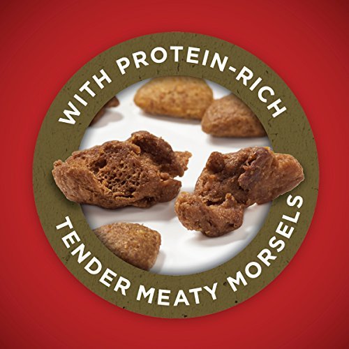 Purina ONE Lamb & Rice Dry Dog Food, High-Protein, 16.5 lb Bag - Image 2