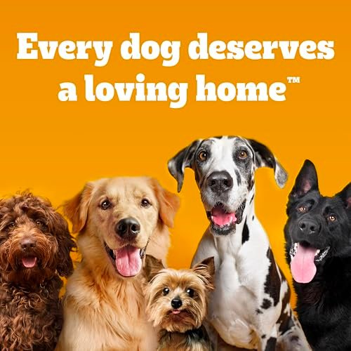PEDIGREE DENTASTIX Large Dog Dental Treats Bacon Flavor, 32 Count - Image 11