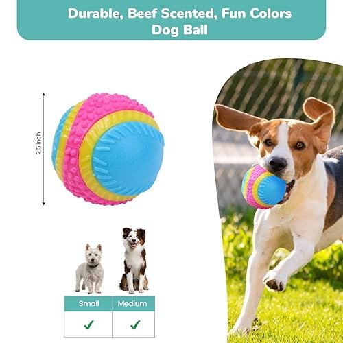 SPOT Sensory Dog Ball for Soft Chewers - Squeaky, Textured, Beef-Scented - Image 2