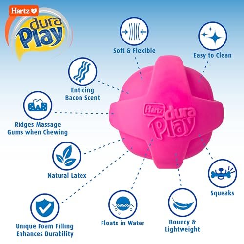 Hartz DuraPlay Squeaky Latex Dog Balls, Medium, Durable 3-Pack Toy - Image 2