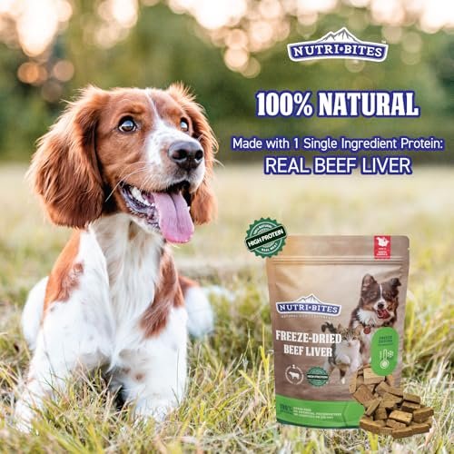 Nutri Bites Beef Liver Treats - Healthy, High-Protein Snacks for Pets 17.6oz - Image 2