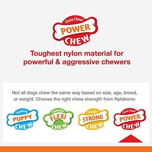 Nylabone Broccoli Chew Toy for Large Dogs, Bacon & Cheese Flavor - Image 5