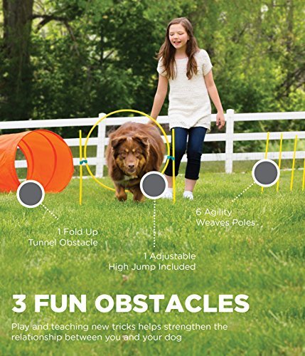 Interactive Dog Agility Training Set - Outdoor Exercise & Skills Development Kit - Image 5