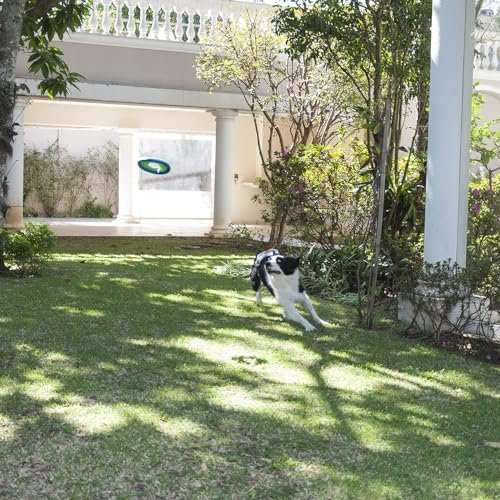 Chuckit Lite Flight Dog Frisbee, Large 10" – Soft, Durable & Floatable - Image 4