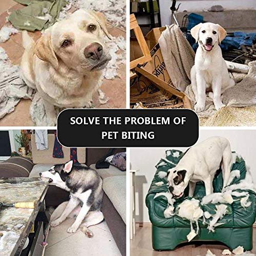 Durable Dog Tug Toy with Jute Bite Pillow & Handles for Training & Play - Image 6